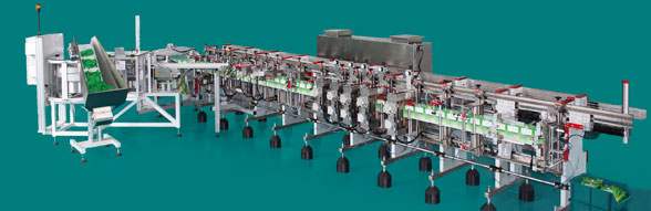 Doypack Pouch Filling Machines