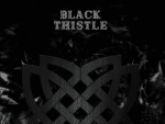 Black Thistle Distilleries